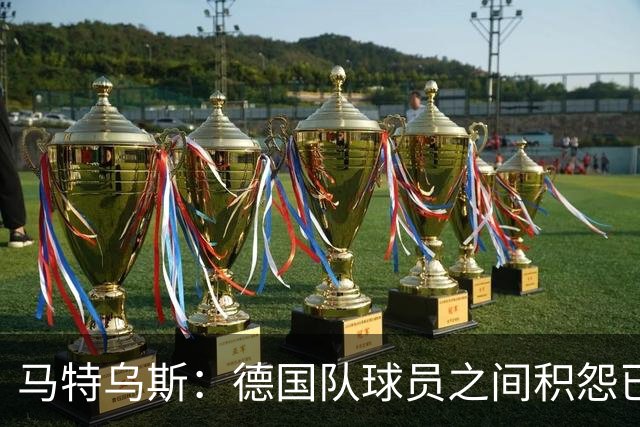 马特乌斯：德国队球员之间积怨已久 一些人的家人可以享受特权